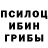 Галлюциногенные грибы Psilocybe 2Z Admin