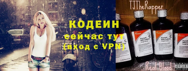 гидра Бородино