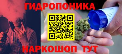 бошки Волгодонск