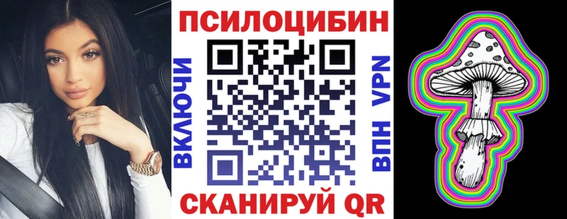 что такое   Нижний Новгород  Галлюциногенные грибы Cubensis 