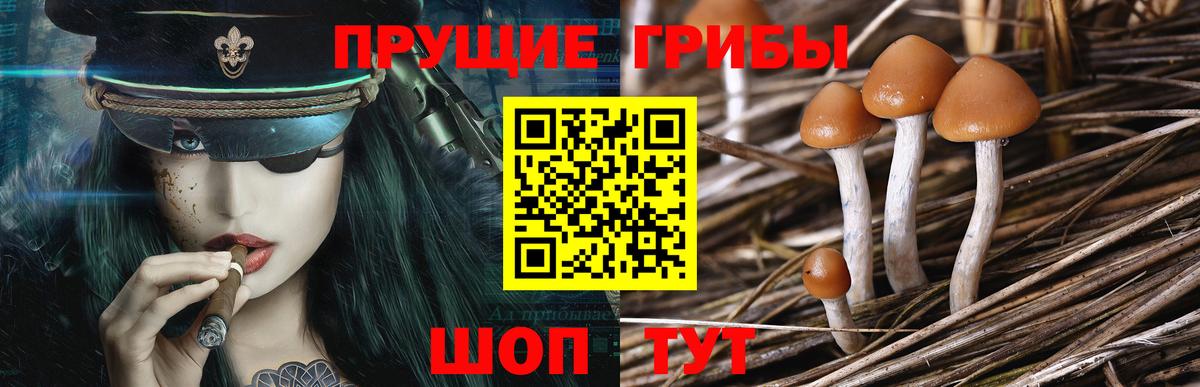 Галлюциногенные грибы Cubensis  Вход с VPN  где можно купить   Нижний Новгород 
