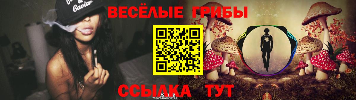 Галлюциногенные грибы GOLDEN TEACHER  Нижний Новгород  Галлюциногенные грибы GOLDEN TEACHER 